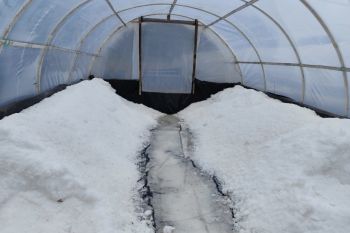 DKP DIY kenalkan proses pembuatan garam bagi generasi muda