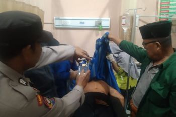 Harimau sumatera menerkam petani di Lampung Barat