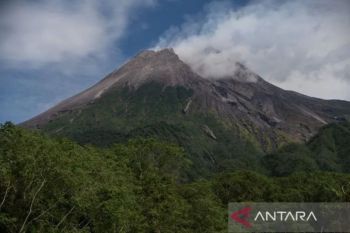 Gunung Merapi meluncurkan awan panas guguran sejauh 2,5 km