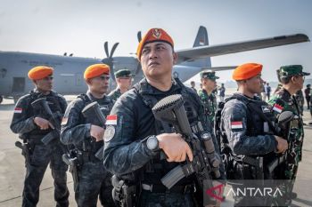 Garuda for Gaza: Indonesia's peacekeepers ready to stand for Palestine