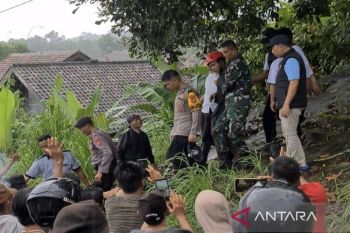 Takut diamuk massa maling kabel naik menara BTS di Lamsel