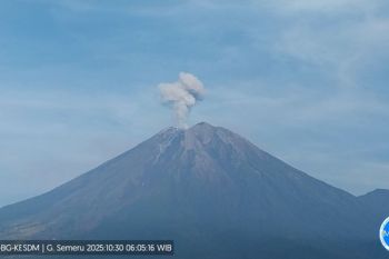 Gunung Semeru di perbatasan Lumajang terdeteksi delapan kali erupsi
