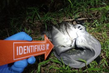 Polisi selidiki kasus penemuan mayat bayi di perkebunan karet