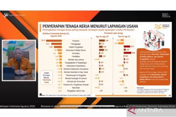 Agriculture, trade, manufacturing lead employment growth in Indonesia