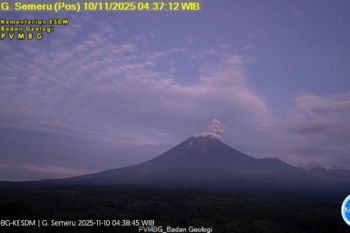 Gunung Semeru kembali erupsi dengan letusan setinggi 800 meter