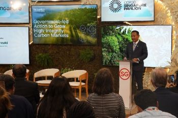 RI doubles down on bolstering carbon market integrity, collaboration