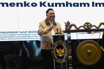 Otto: Reformasi regulasi ditopang kolaborasi danminim ego sektoral