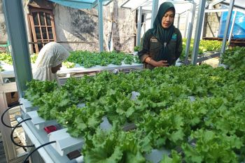 Dinkes Balikpapan luncurkan Program Gempur Stunting, fokus gizi anak