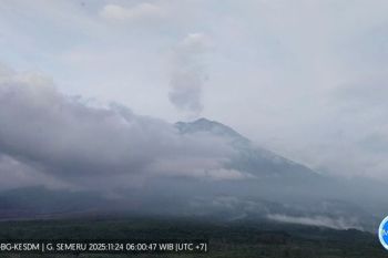 Gunung Semeru hembuskan asap putih setinggi 1.000 meter dari puncak