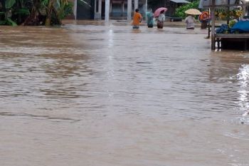 Lebih dari 150 keluarga terdampak banjir di Desa Aia Pasaman Barat