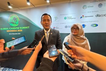 Govt pushes carbon scheme to restore 12 million hectares critical land