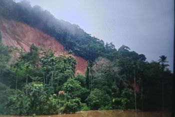 Enam orang tertimbun longsor, satu orang selamat di Tinggam Talu