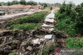 Gubernur Kaltim tegaskan area tambang ilegal ditutup untuk jaga hutan