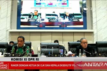 Komisi XI setujui usulan OJK naikkan batas free float ke 10-15 persen