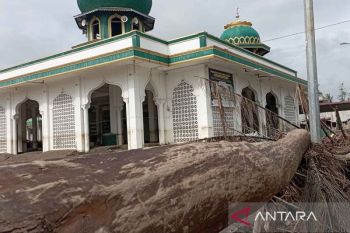 Akses inike pesisir wilayah bencana di Bireuen sudah dapat dilalui