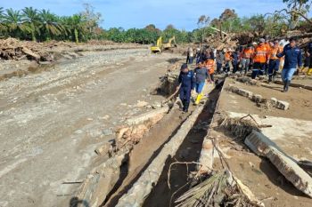 Menteri LH: Pemeriksaan awal kayu banjir kombinasi pohon tumbang
