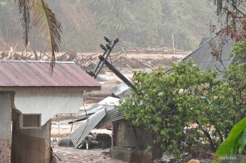 State seeks full restoration in corporate lawsuits: Minister