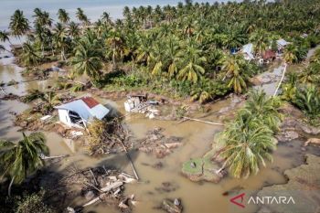 Mengembalikan mandat sosial BUMN dalam bencana Sumatera