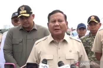 Prabowo: Pemerintah mulai tertibkan pembalakan liar