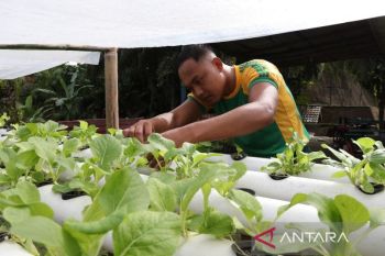Satgas Pamtas Kostrad wujudkan ketahanan pangan mandiri