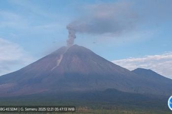 Mount Semeru continues years of activity with six Sunday eruptions