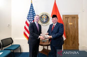 Danantara in talks on US access to Indonesia's critical minerals