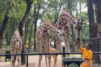 Ratusan petugas gabungan amankan Taman Margasatwa Ragunan pada Nataru