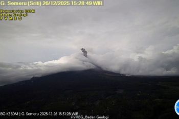 Gunung Semeru kembali erupsi dengan tinggi letusan hingga 900 meter di atas puncak