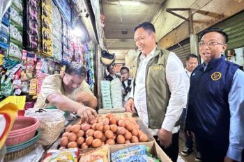 Bulog- Satgas Pangan sidak serentak harga pangan jelang Tahun Baru 2026