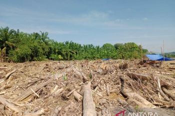 Banjir Sumatera: Ketika alam "bicara" melalui sisa-sisa tubuhnya
