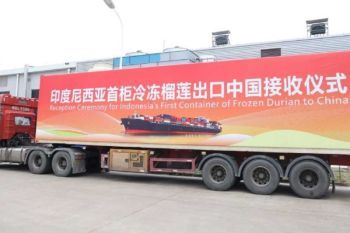 Indonesia's frozen durian officially enters China via Qinzhou Port