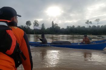 SAR gabungan temukan korban kecelakaan di Sungai Belayan Kaltim