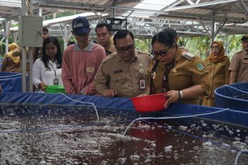 Bupati: Penebaran benih lele Gunungkidul untuk dukung Program MBG