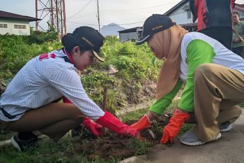 Pemkot Singkawang tingkatkan kualitas lingkungan dengan tanam pohon