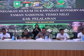 Kuasai 270 ha lahan TN Tesso Nilo jadi kebun sawit, Polda Riau tahan tiga tersangka