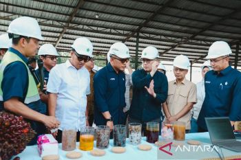Danantara: Transformasi PalmCo Perkuat Kemandirian Pangan dan Energi Nasional