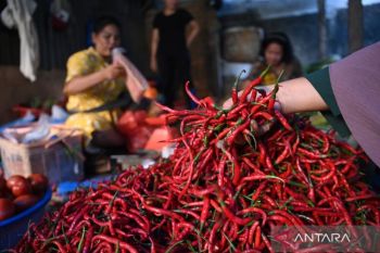 Bapanas: Harga bawang merah Rp38.651 per kg, cabai merah keriting Rp33.635 per kg
