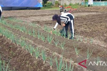 Where class ends, food security lessons begin in rural Java