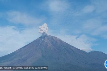 Mount Semeru erupts twice on Thursday spewing 700 m ash column