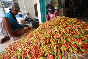 Harga cabai rawit merah Rp72.500 per kg, bawang merah Rp43.350 per kg