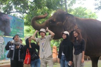 Semarang Zoo resmi menghentikan pertunjukan tunggang gajah