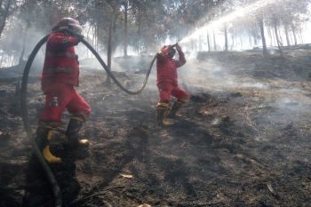 Kemenhut intensif padamkan karhutla di Riau dan Kepri