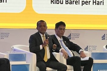 Indonesia to review more mining export bans : Minister