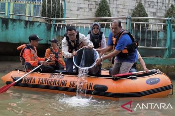 Biotek pulihkan kualitas air sungai pascapencemaran pestisida