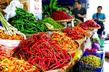 Bapanas menggandeng petani-pedagang hingga Satgas jaga stabilitas cabai