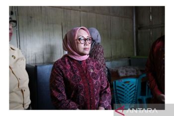 Penanganan kasus kekerasan seksual harus berperspektif korban