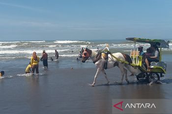 SAR Parangtritis memetakan 15 titik rip current hingga Pantai Depok