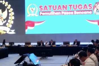 Lawmaker urges government to allow diaspora aid for Sumatra