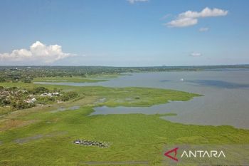 Langit baru di atas Batujai