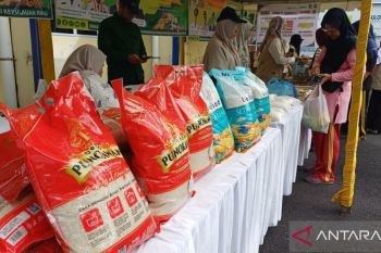 Pemerintah ekspor 2.280 ton beras untuk jamaah haji RI di Arab Saudi